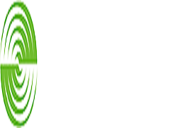 合作伙伴二十一